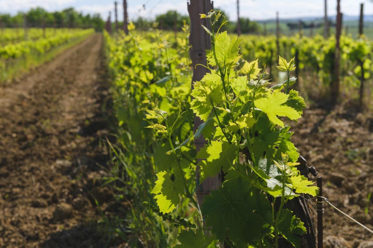 Agriturismo Cretaiole Pienza Bagian luar foto