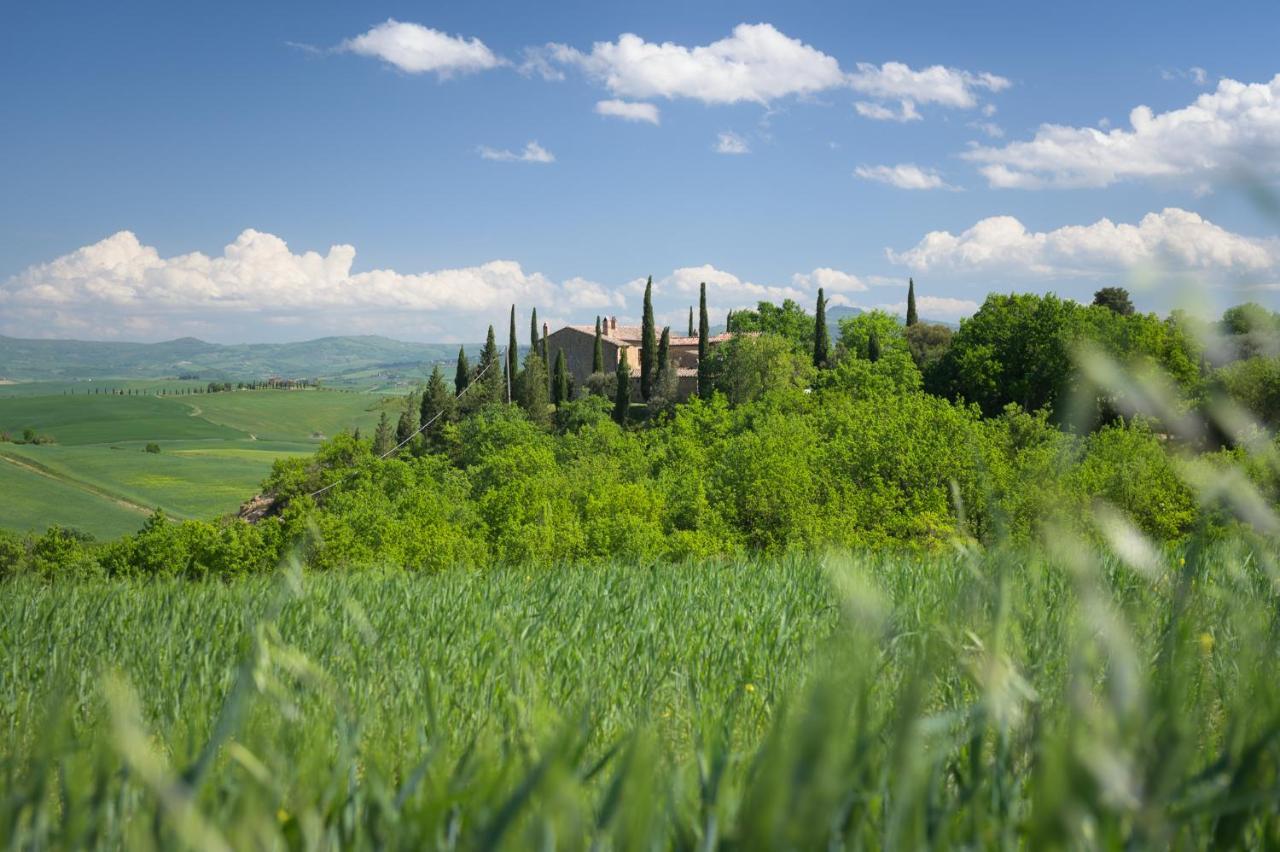 Agriturismo Cretaiole Pienza Bagian luar foto